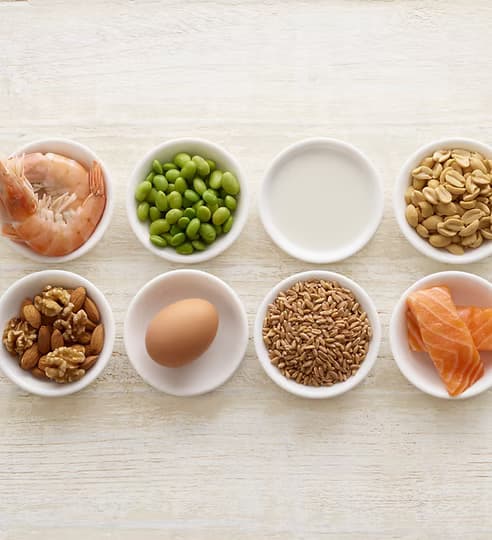 영양 섭취와 운동으로 뇌를 돌보는 과정