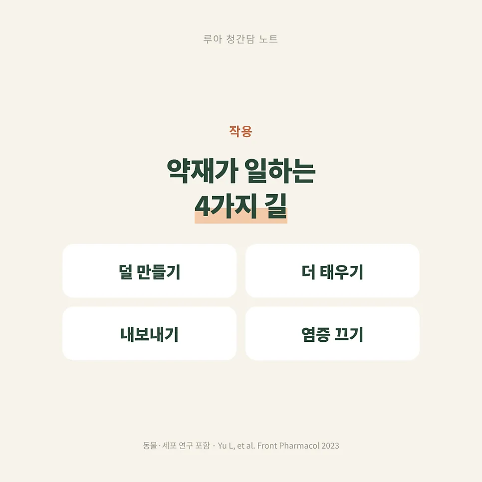 지방간 치료 한약의 근거들 — 이미지 6