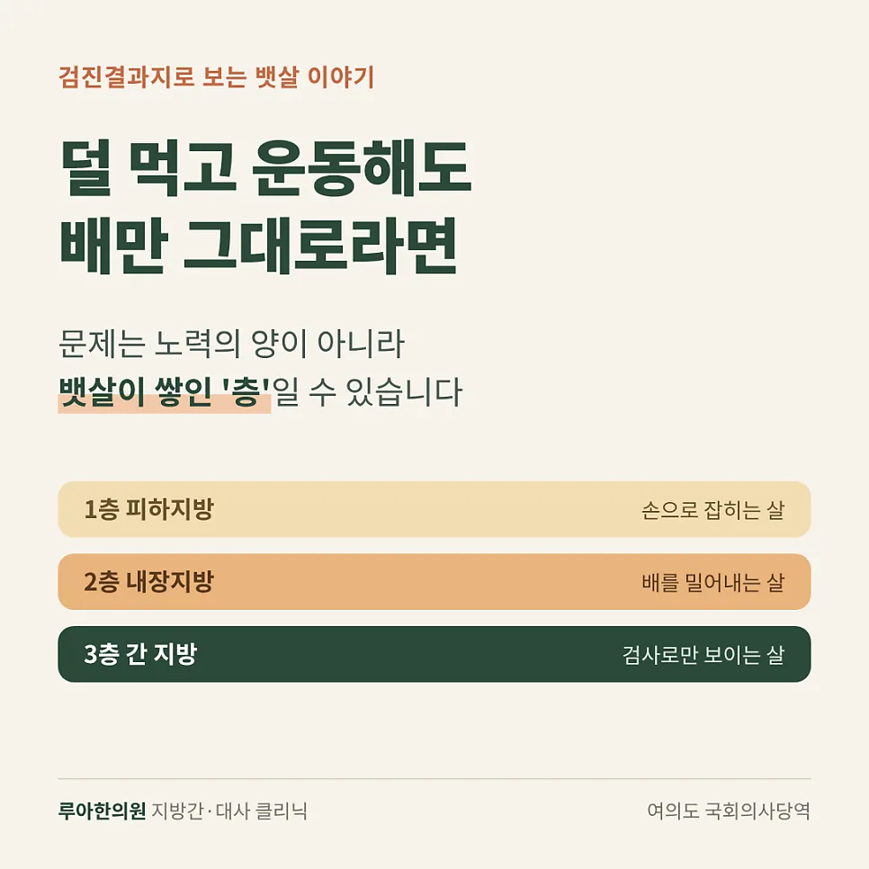 뱃살이 안 빠지는 이유, 운동해도 그대로인 까닭은? — 이미지 1
