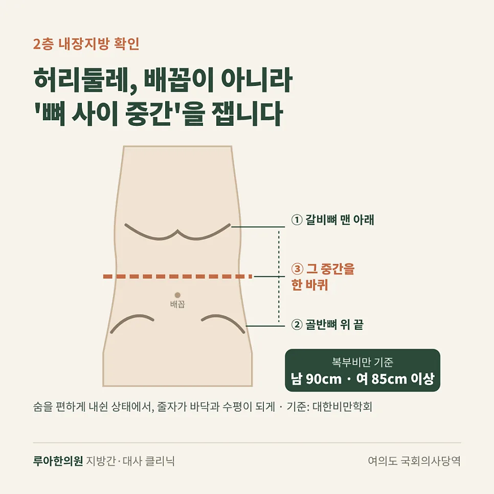 뱃살이 안 빠지는 이유, 운동해도 그대로인 까닭은? — 이미지 5