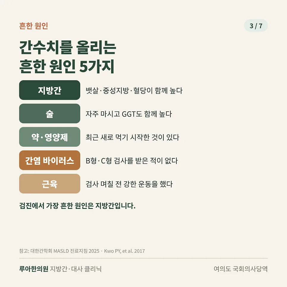 간수치 높으면 어떤 증상이 있나요? — 이미지 3