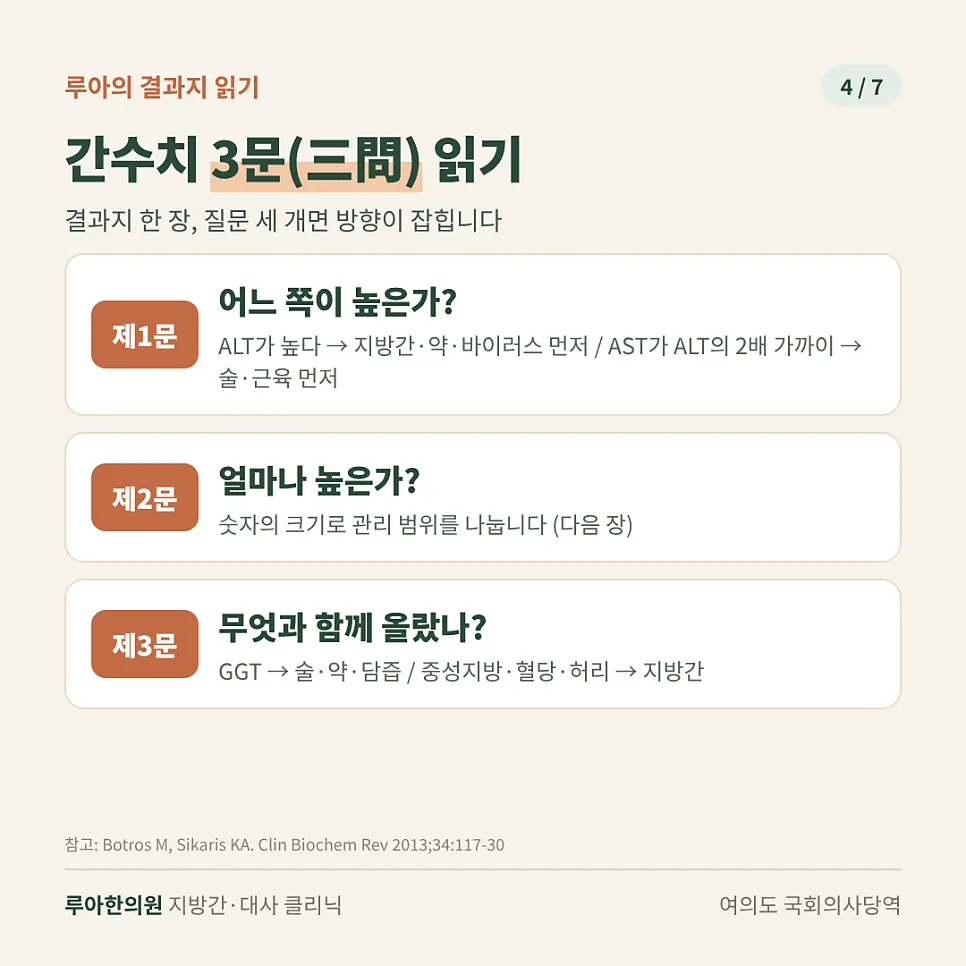 간수치 높으면 어떤 증상이 있나요? — 이미지 4
