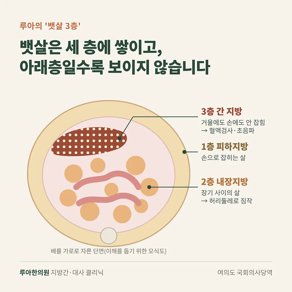 뱃살이 안 빠지는 이유, 운동해도 그대로인 까닭은? — 이미지 2