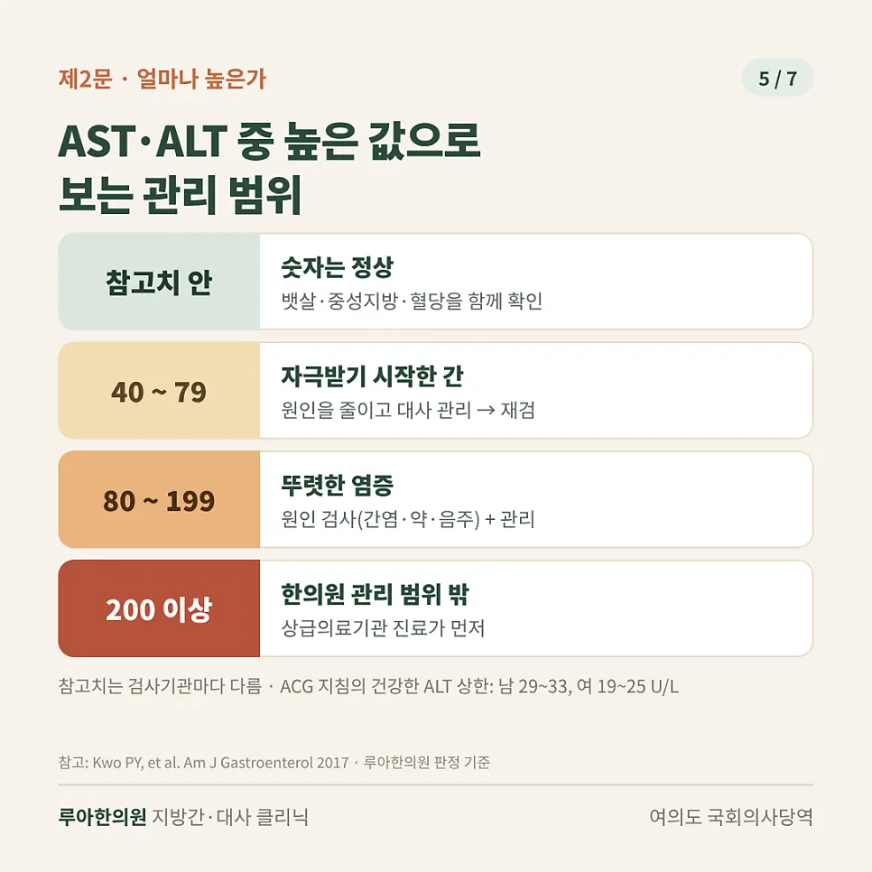 간수치 높으면 어떤 증상이 있나요? — 이미지 5