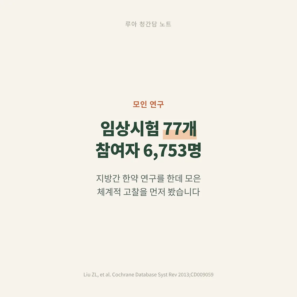 지방간 치료 한약의 근거들 — 이미지 2