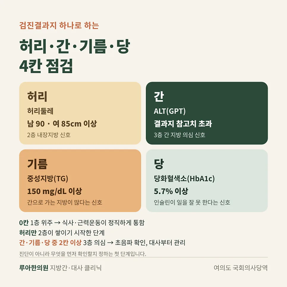 뱃살이 안 빠지는 이유, 운동해도 그대로인 까닭은? — 이미지 3